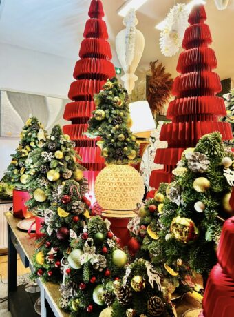 Atelier des Fleurs  104 Rue d'Isle - 02100 Saint-Quentin